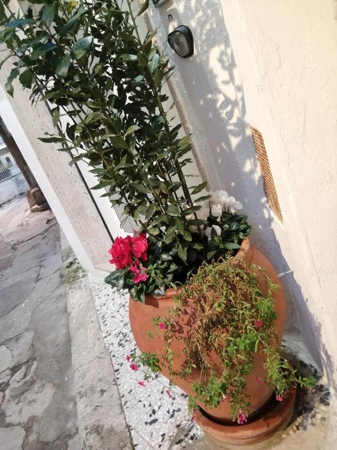 Relax Santa Cecilia Apartment Gravina in Puglia Luaran gambar